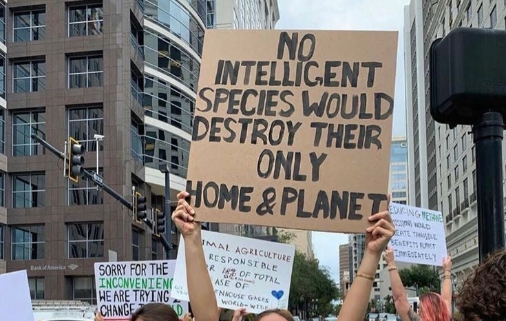 World Vegan Day - Mehr als ein Trend