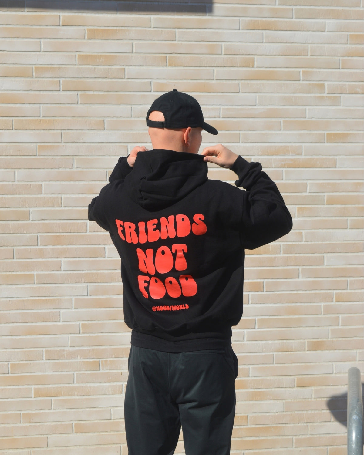 'FRIENDS NOT FOOD Wave' - Oversize Hoodie